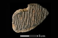 藏品(陶片)的圖片